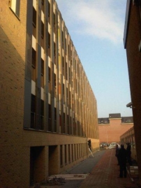 IMG00120-20111109-1509