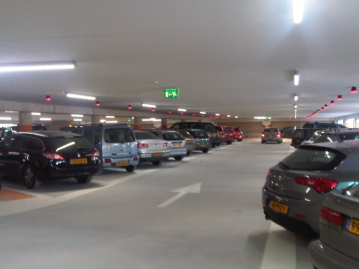 IMG00142-20111114-1458