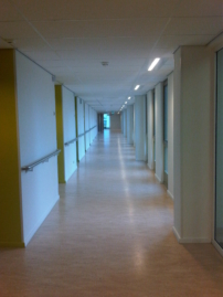 IMG00405-20110829-0812